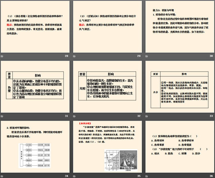 《主要植被与自然环境》地球上的植被与土壤PPT下载