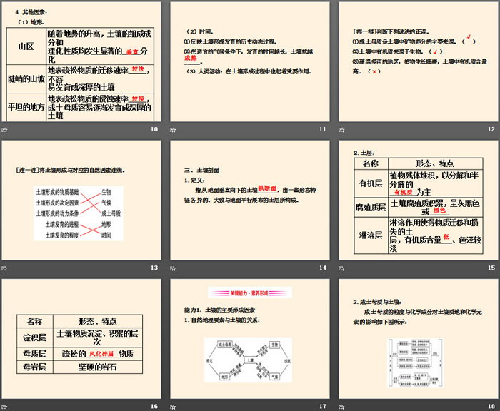 《土壤的形成》地球上的植被与土壤PPT下载