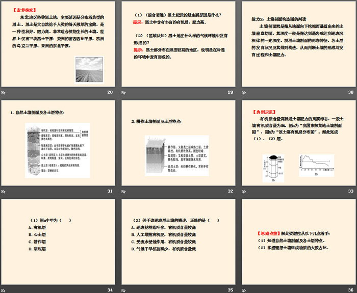 《土壤的形成》地球上的植被与土壤PPT下载