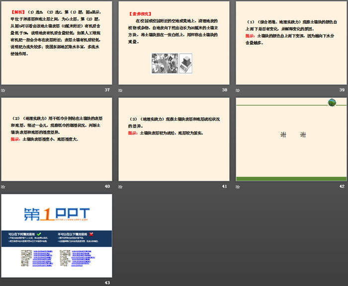 《土壤的形成》地球上的植被与土壤PPT下载