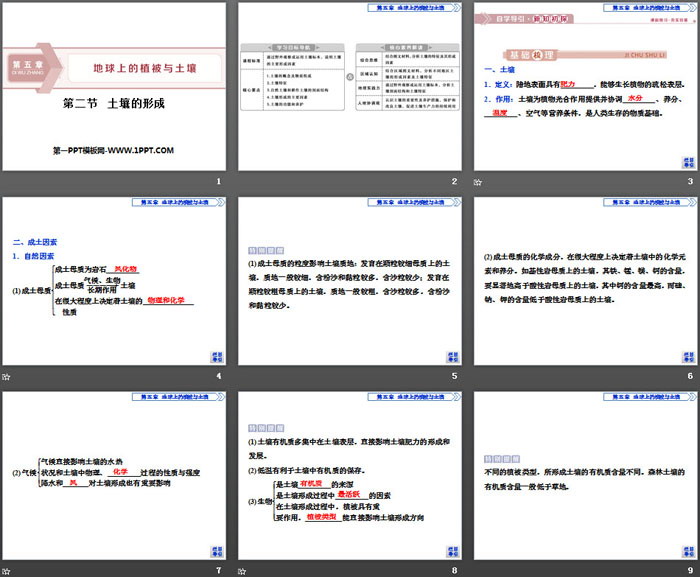 《土壤的形成》地球上的植被与土壤PPT教学课件