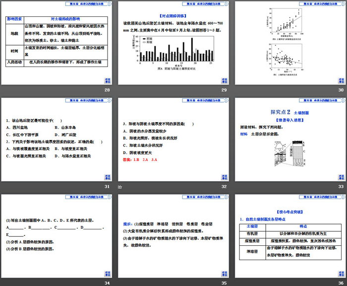《土壤的形成》地球上的植被与土壤PPT教学课件