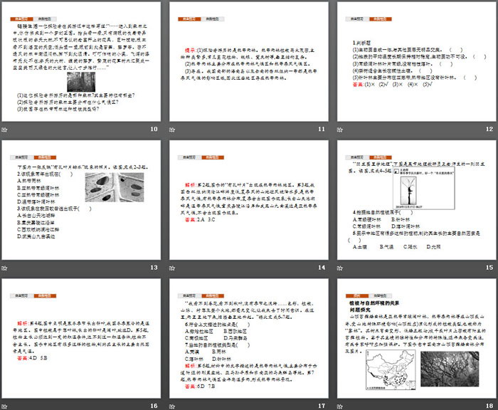 《生物圈与植被》从地球圈层看地表环境PPT