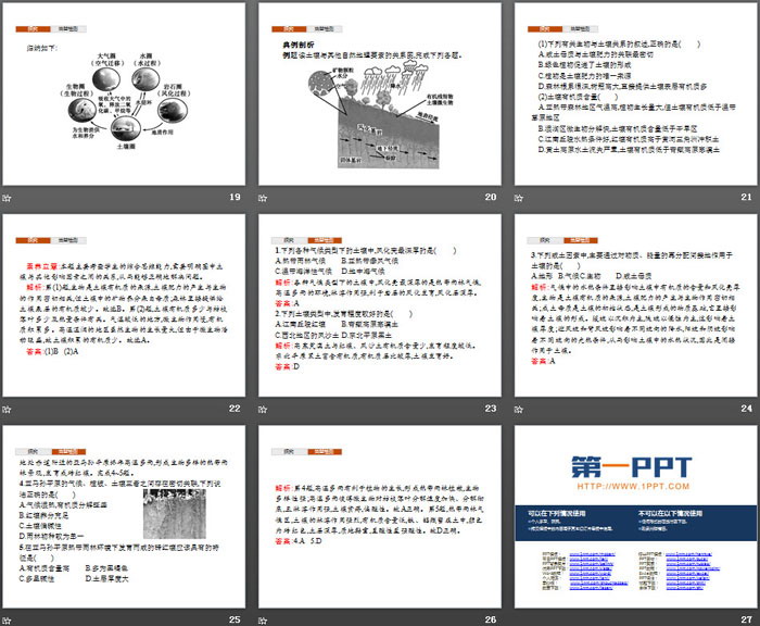 《分析土壤形成的原因》从圈层作用看地貌与土壤PPT