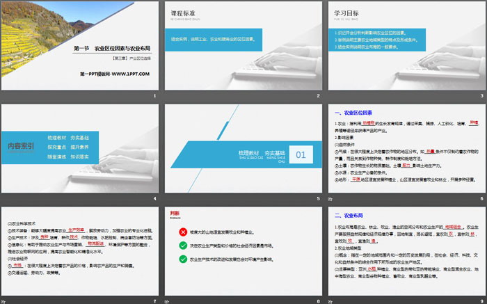 《农业区位因素与农业布局》产业区位选择PPT