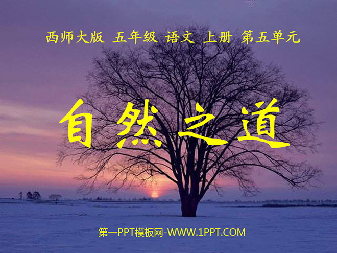 《自然之道》PPT课件