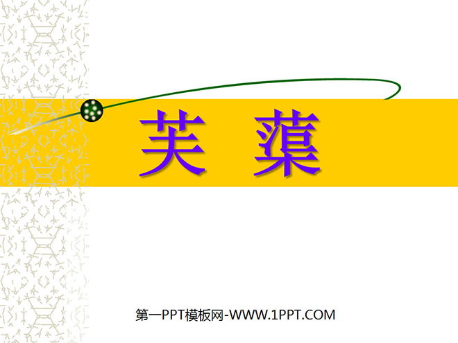 《芙蕖》PPT课件2