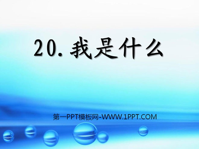 《我是什么》PPT课件5