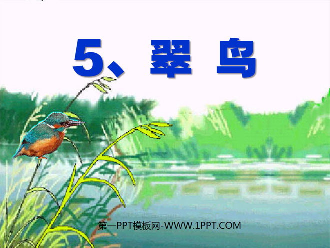 《翠鸟》PPT课件4