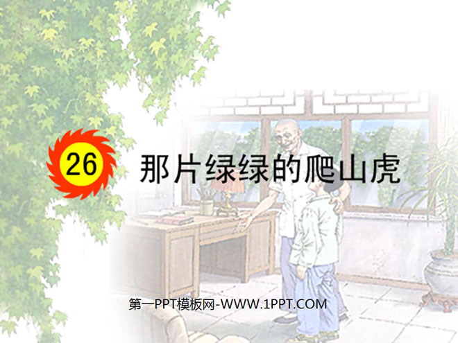 《那片绿绿的爬山虎》PPT课件2