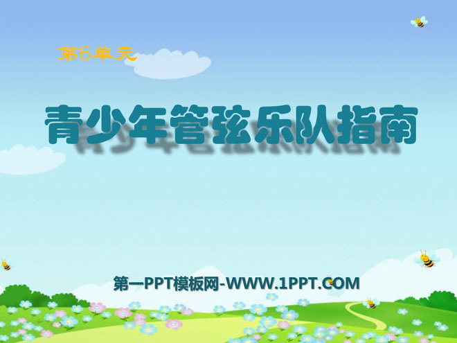 《青少年管弦乐队指南》PPT课件2