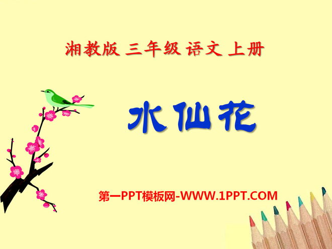 《水仙花》PPT课件2