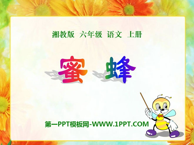 《蜜蜂》PPT课件6