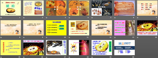 《琥珀》PPT课件6