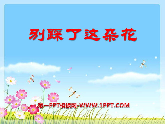 《别踩了这朵花》PPT课件3