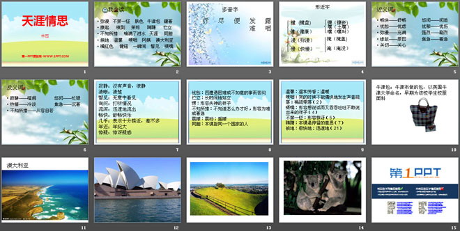 《天涯情思》PPT课件3