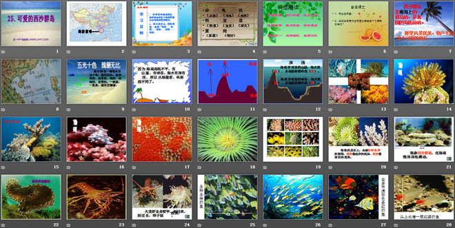 《可爱的西沙群岛》PPT课件2
