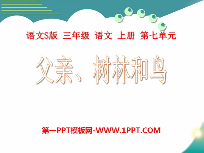 《父亲树林和鸟》PPT课件2