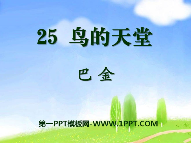 《鸟的天堂》PPT课件8