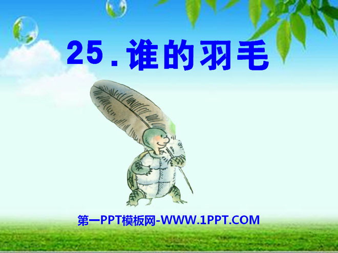 《谁的羽毛》PPT课件2