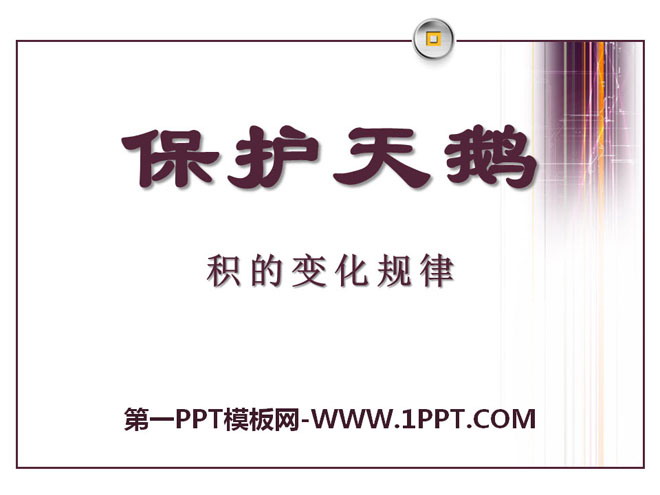 《保护天鹅》PPT课件10