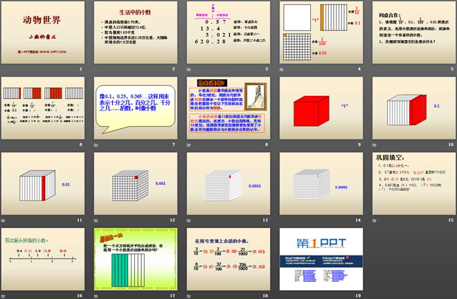 《动物世界》PPT课件2