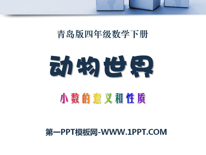 《动物世界》PPT课件4