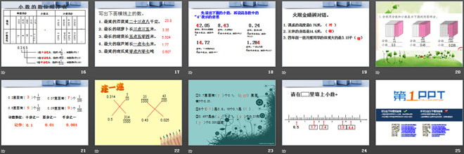 《动物世界》PPT课件4