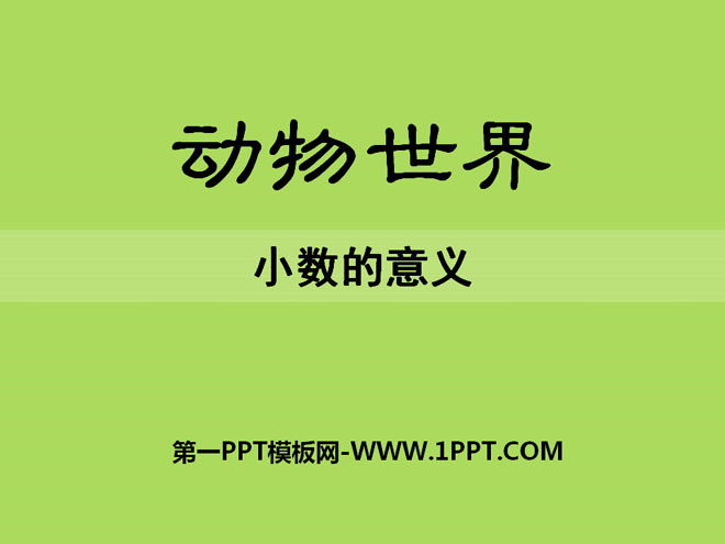 《动物世界》PPT课件6