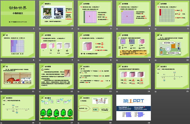 《动物世界》PPT课件6