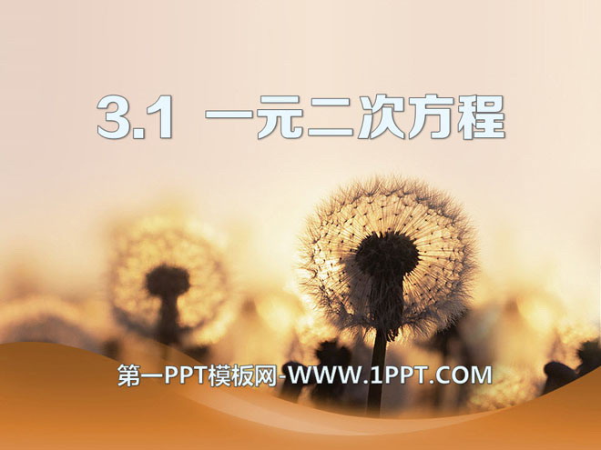 《一元二次方程》PPT课件6