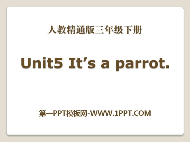 《It\s a parrot》PPT课件4