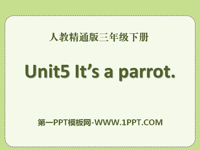《It\s a parrot》PPT课件5
