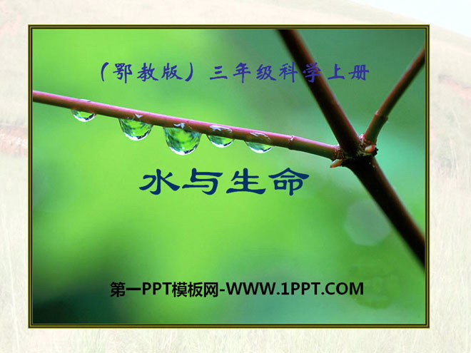 《水与生命》饮用水PPT课件