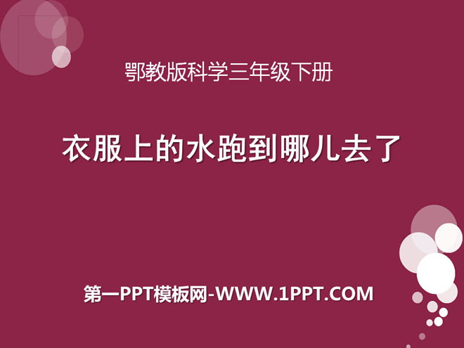 《衣服上的水跑到哪儿去了》PPT课件