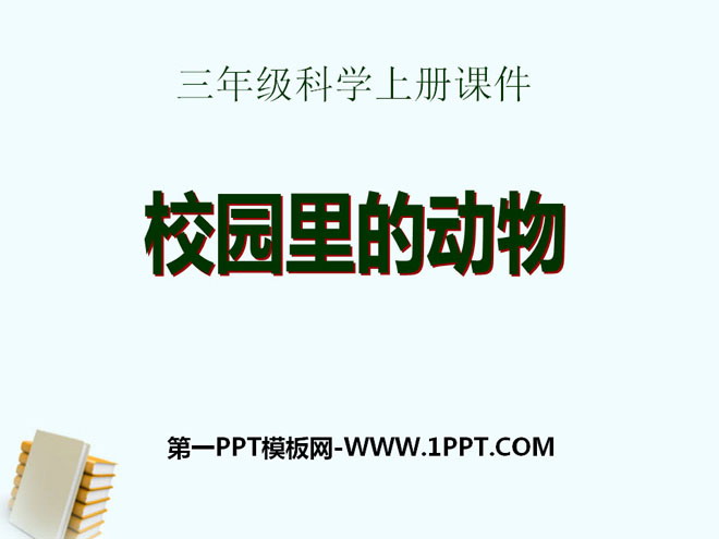 《校园里的动物》和动物交朋友PPT课件2