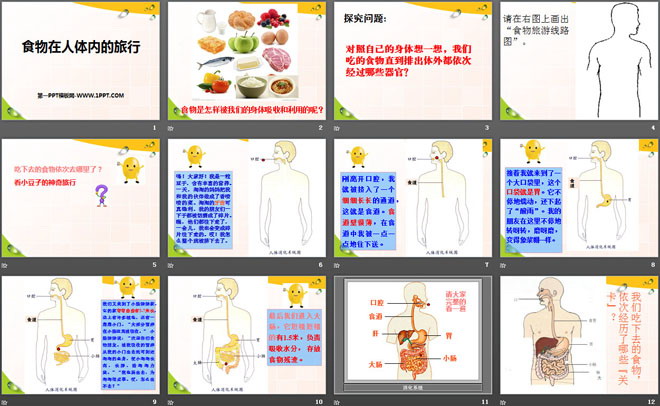 《食物在人体内的旅行》人体的奥秘PPT课件