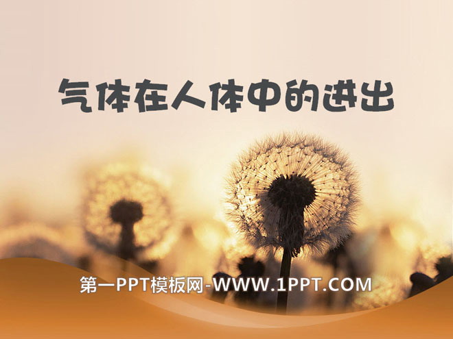 《气体在人体中的进出》人体的奥秘PPT课件