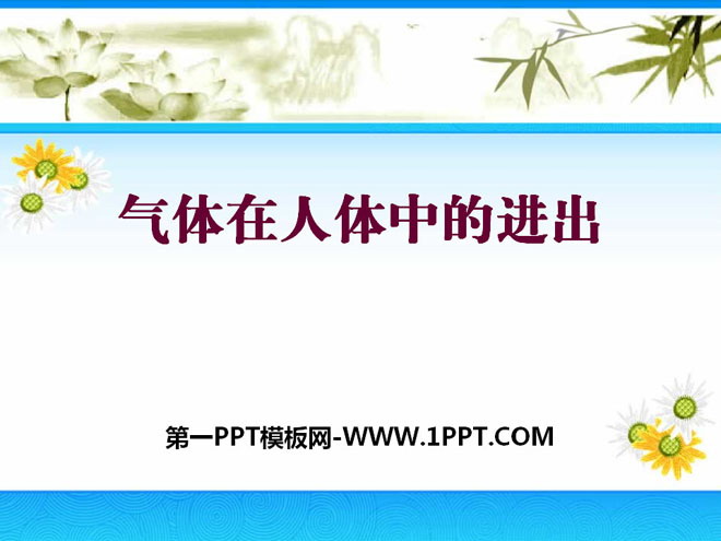 《气体在人体中的进出》人体的奥秘PPT课件2