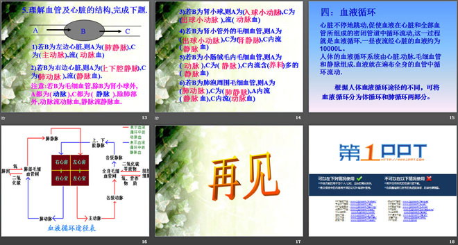 《血液在人体内的循环》人体的奥秘PPT课件