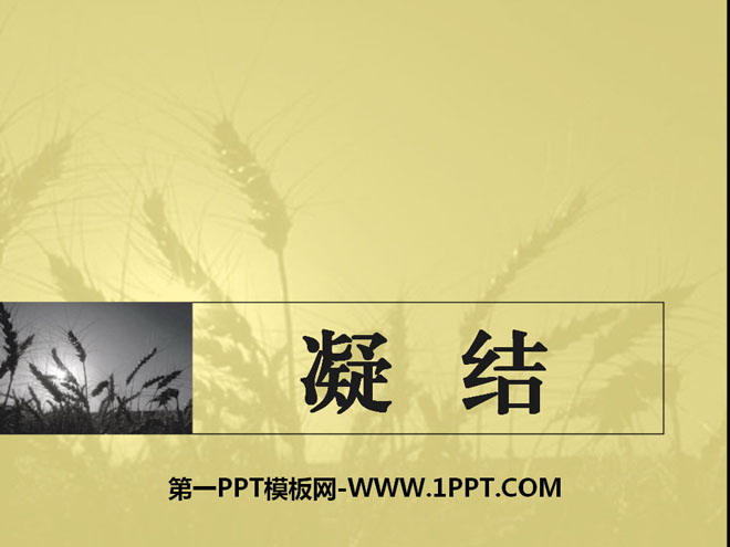 《凝结》PPT