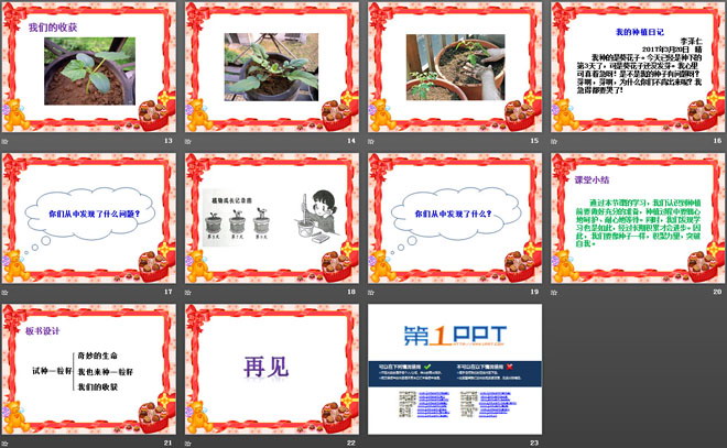 《试种一粒籽》PPT