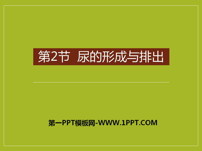 《尿的形成与排出》PPT课件下载