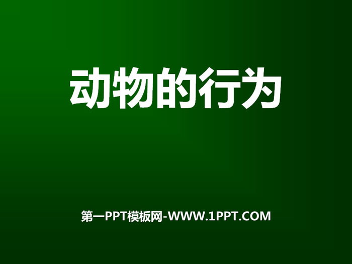 《动物的行为》PPT课件