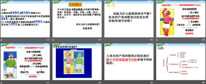 《体温的控制》PPT