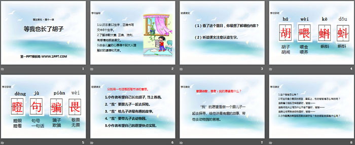 《等我也长了胡子》PPT