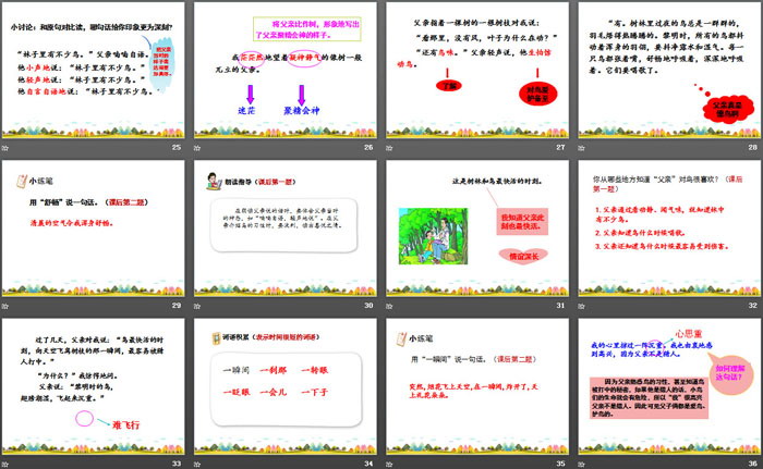 《父亲、树林和鸟》PPT课件下载