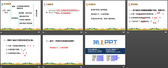 《父亲、树林和鸟》PPT课件下载