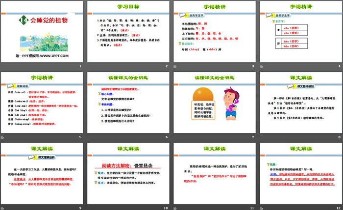 《会睡觉的植物》PPT