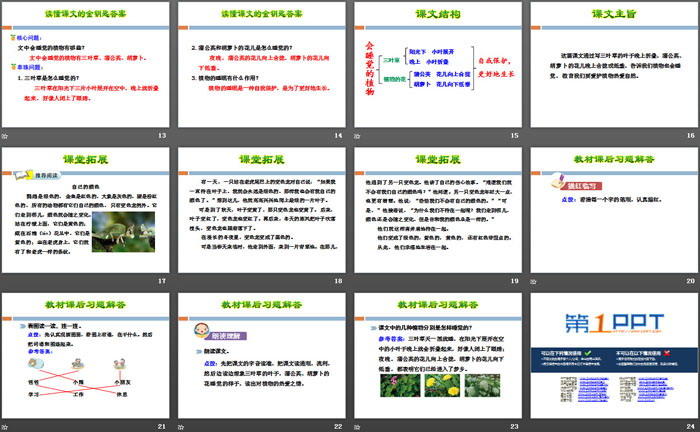 《会睡觉的植物》PPT